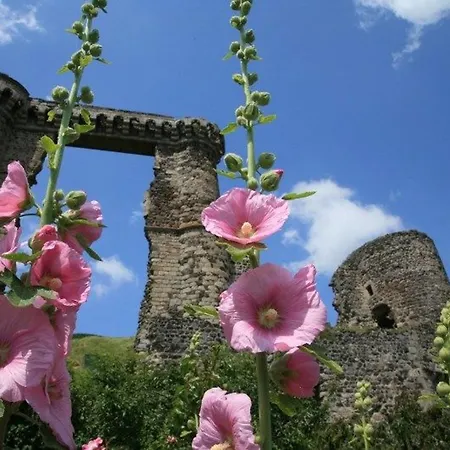 Semesterbostad Maison De Bourg Restauree Avec Cour Privative Au Coeur D'un Village Paisible, Proche Gorges De L'allier Et Sites Historiques - Fr-1-582-220